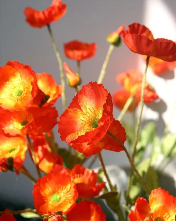 Coquelicots Artificiels - 2